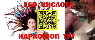 сатива Тверь