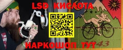 сатива Тверь