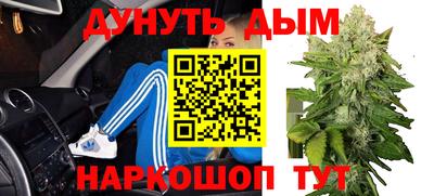 сатива Тверь