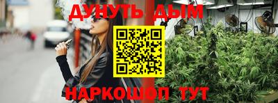 сатива Тверь