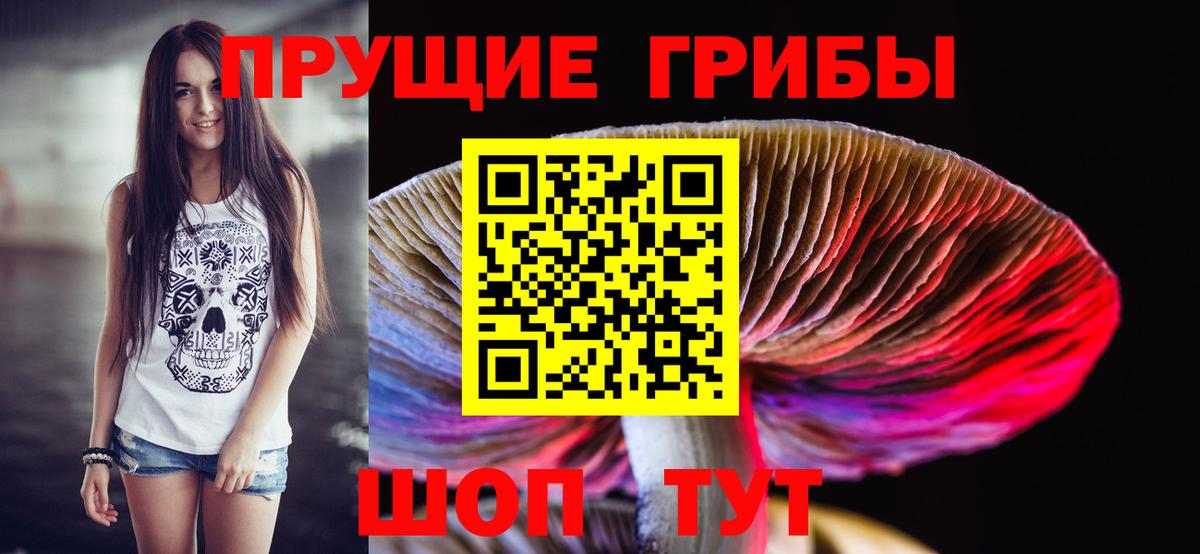 Псилоцибиновые грибы Magic Shrooms Павловский Посад